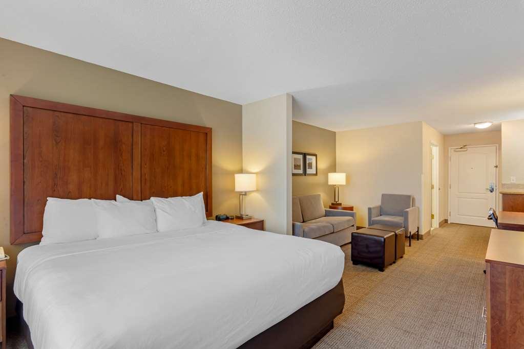 Comfort Inn & Suites Dover Room photo